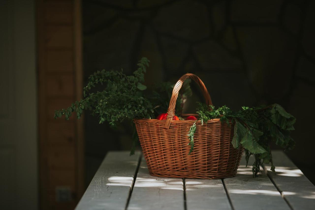 Pasieka - Dom Wypoczynkowy Bacza Extérieur photo