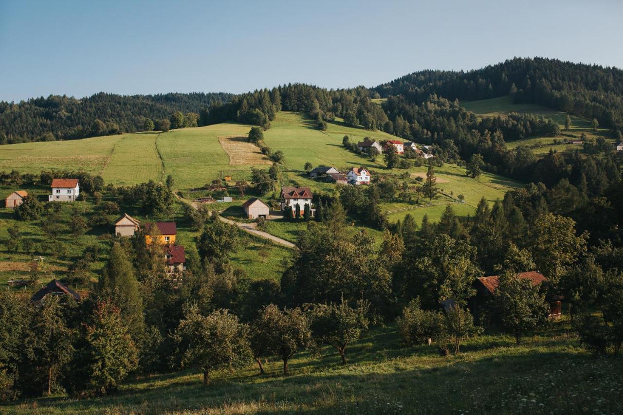 Pasieka - Dom Wypoczynkowy Bacza Extérieur photo